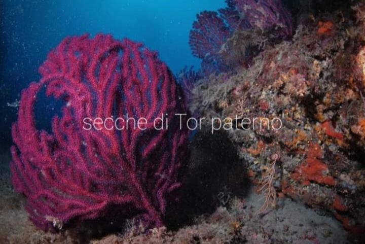 דירות לידו די אוסטיה Rome Sea מראה חיצוני תמונה